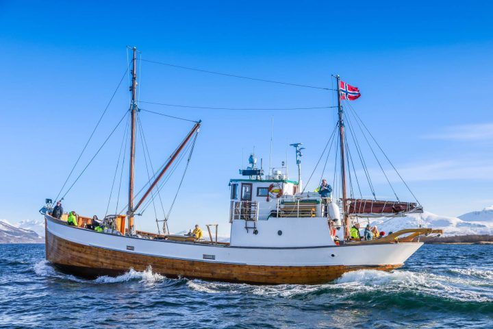 Turer 65