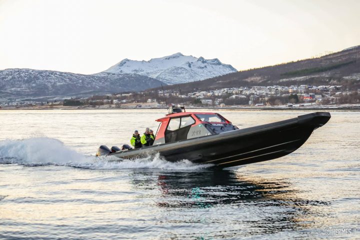 Turer 12