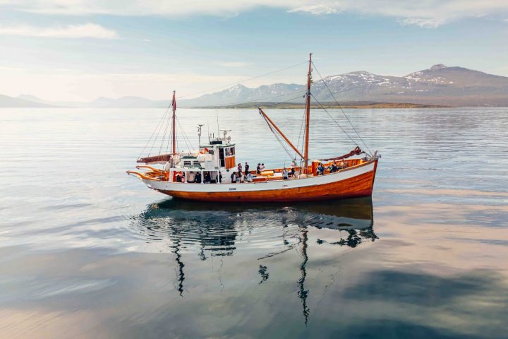 Turer 42